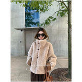 DAIIIBABYYY  -  Winter Women Faux Fur Lesther Jacket Coat Fur Collar Black Baggy Thickening Warm Streetwear Plush Patchwork Lamb Wool Coat Top