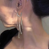 Daiiibabyyy  -  Unique Long Tassel Earrings with Niche Design, High-end Women's New Light Luxury Earrings