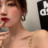 European and American Sexy Temperament Acrylic Leopard Hoop Earrings Korean Fashion Jewelry Gothic Girls Accessories For Woman daiiibabyyy