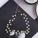 Fashion Women Necklace Choker Pearl Necklace For Girl Statement Ladies Collares Gold Color Alloy Jewelry Birthday Gift Party daiiibabyyy