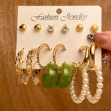 Punk Leopard Acrylic Resin Hoop Earrings Set for Women Trendy Gold Butterfly Pearl Circle Earrings Gifts Jewelry daiiibabyyy