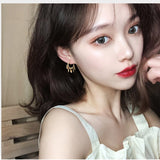 New Fashion Round Disc Tassel Earrings For Women Golden Pendant Earrings Oorbellen Charming Ear Jewelry daiiibabyyy