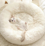 Soft Warm PP Cotton Winter Pet Bed Cat Bed House Dog House Bed for Cat Dog Pet daiiibabyyy