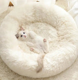 Soft Warm PP Cotton Winter Pet Bed Cat Bed House Dog House Bed for Cat Dog Pet daiiibabyyy