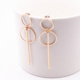 Fashion Earrings Punk Simple Gold Silver Color Long Section Tassel Pendant Size Circle Earrings For Ladies Gifts daiiibabyyy