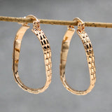 Trendy Statement Gold Copper Hoop Earrings For Women Round Gold Eardrop Luxury Jewelry Accessories for Wedding Anniversary Gift daiiibabyyy