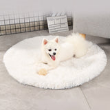 Plush Pet Bed Cushions Queen Labrador Big Dog Bed Large Dog Accessories for Large S Goods for Animals Mat for Dogs Lie Home Cats daiiibabyyy