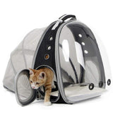 Expandable Cat Carrier Backpack Portable Pet Puppy Traveling Outdoor Backpack  Transporter Conveyor Cats Bag Pet Supplie daiiibabyyy